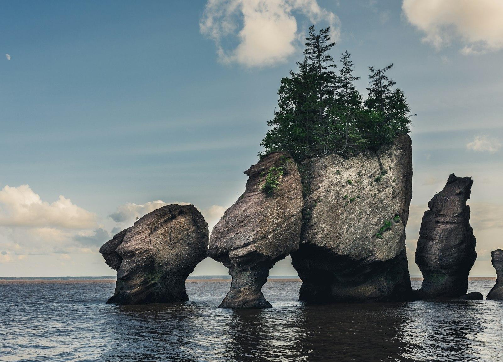 The Hopewell Rocks on the Bay of Fundy at low tide