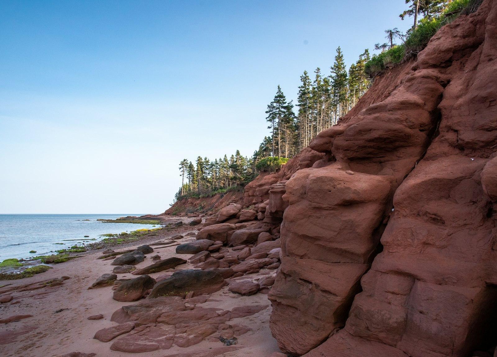 The beach and red cliffs of Panmure Island